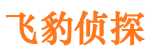 额敏市侦探公司